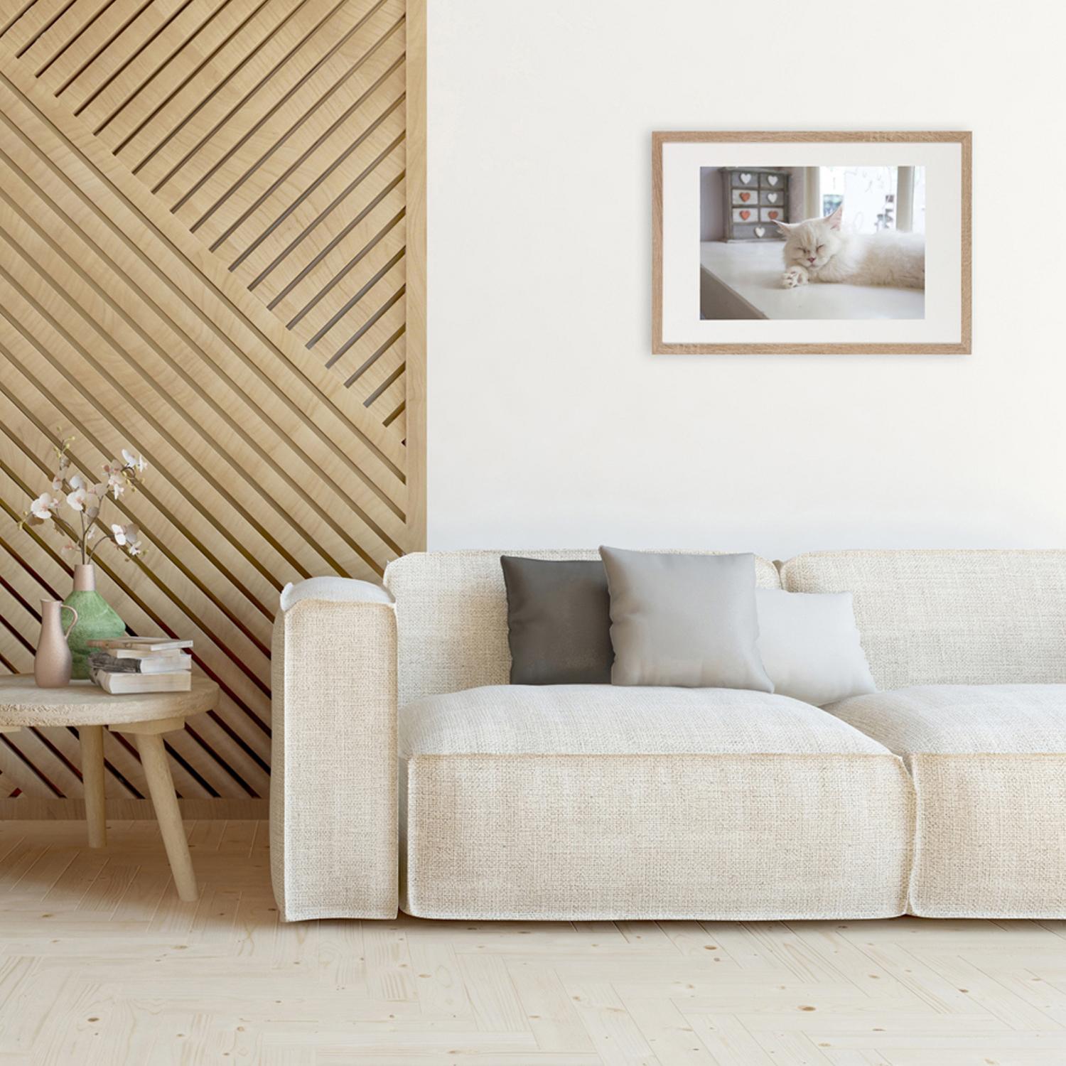 Productfoto 5