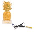 Photo de produit 1